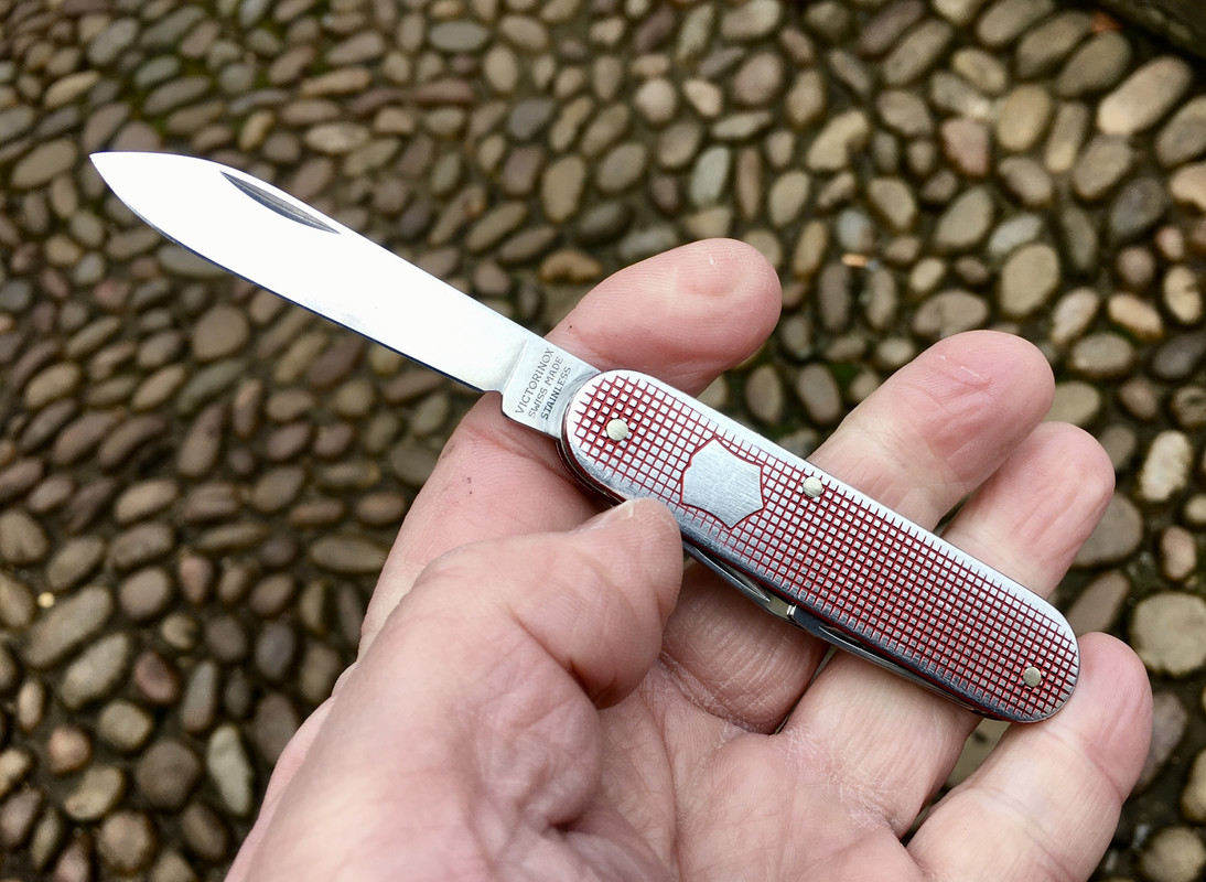 EF027276-0C5C-40F9-A0DA-C858E3E3D603