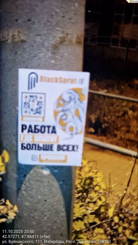 photo_89_2025-10-11_21-40-11