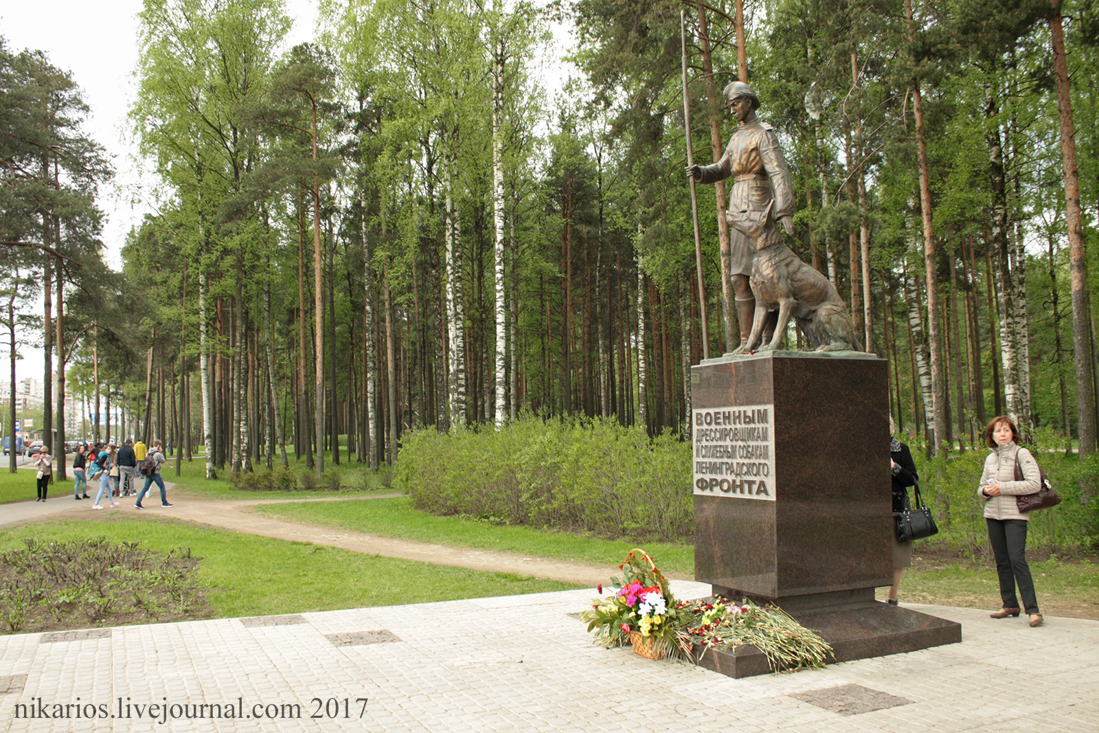 Парк сосновка в санкт петербурге зимой