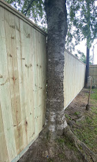 fencing near me