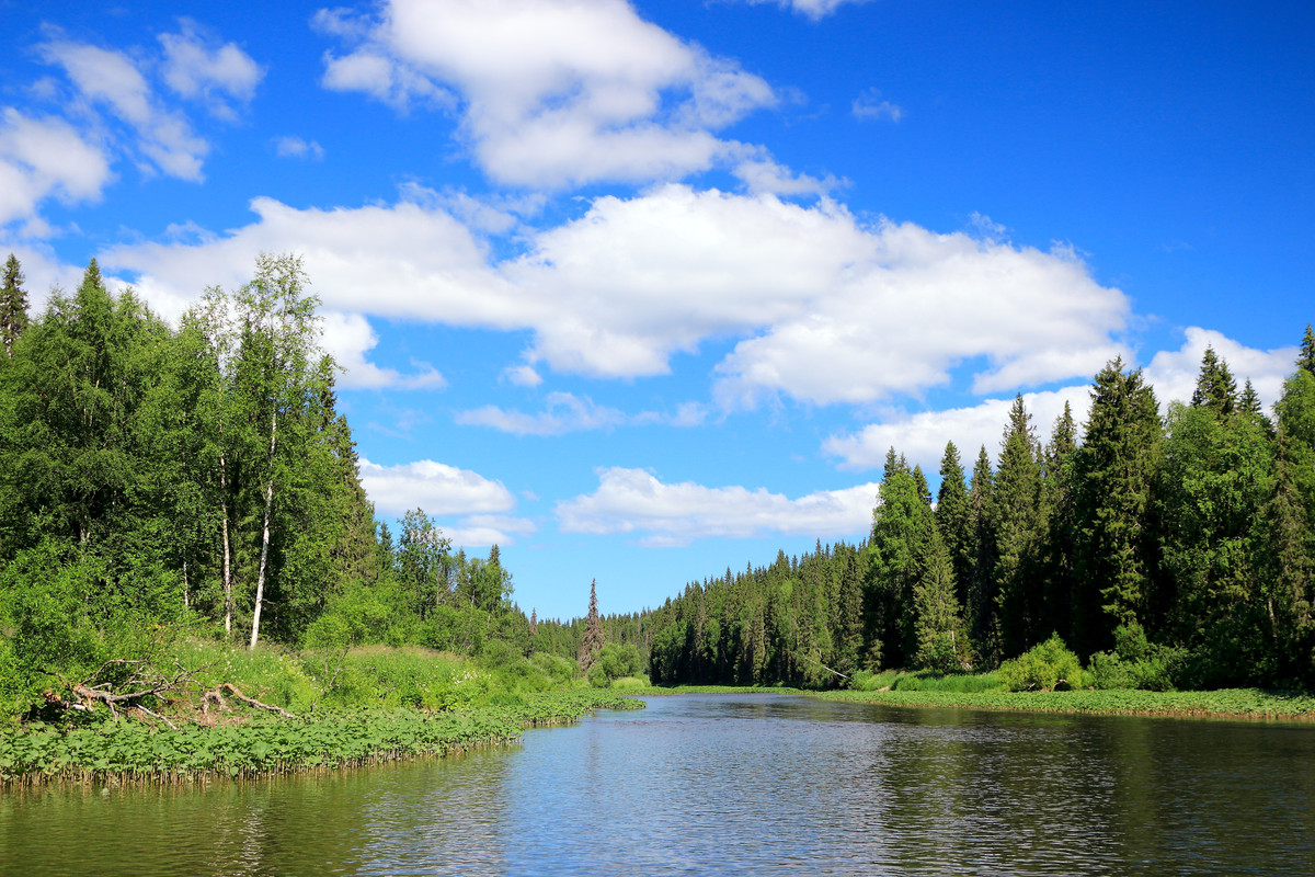 IMG_6095 (9000 x 6000)