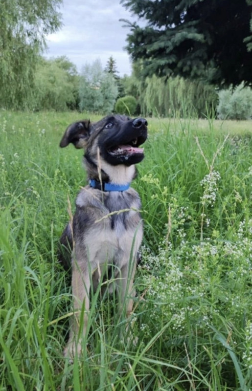 1CB86924-8592-40E7-822C-322098977DB8