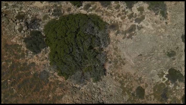 [Image: 7a9kmm4wlee0.png]