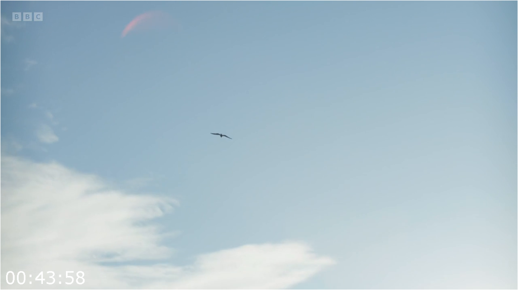 [Image: g0q8cigzk82p.png]