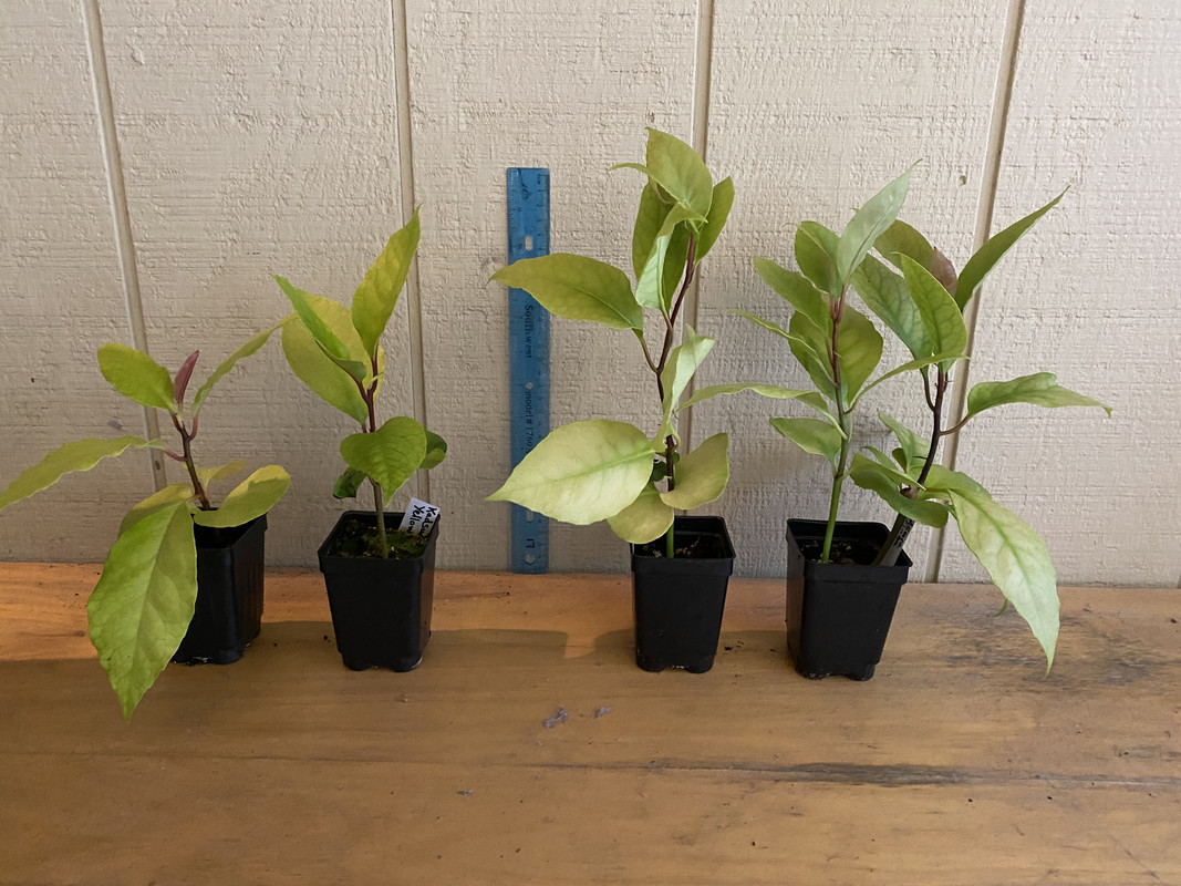 9EEDEDB6-2F81-4354-B8E6-98171F2C9348