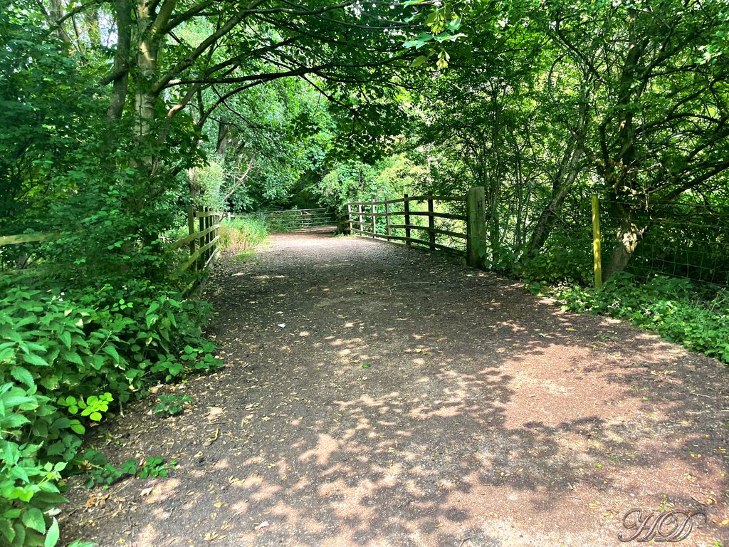 woodland-path-4-HD.jpg