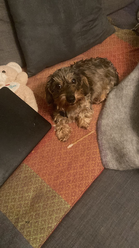 [Image: IMG-20231124-WA0004.jpg]