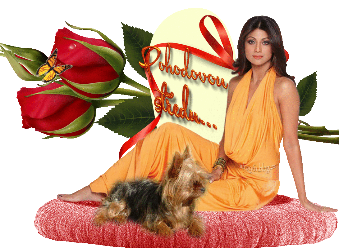 31902973d4e091fafeb8662ee46a566804bc7c88