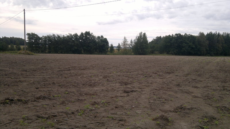 2012-09-01-733