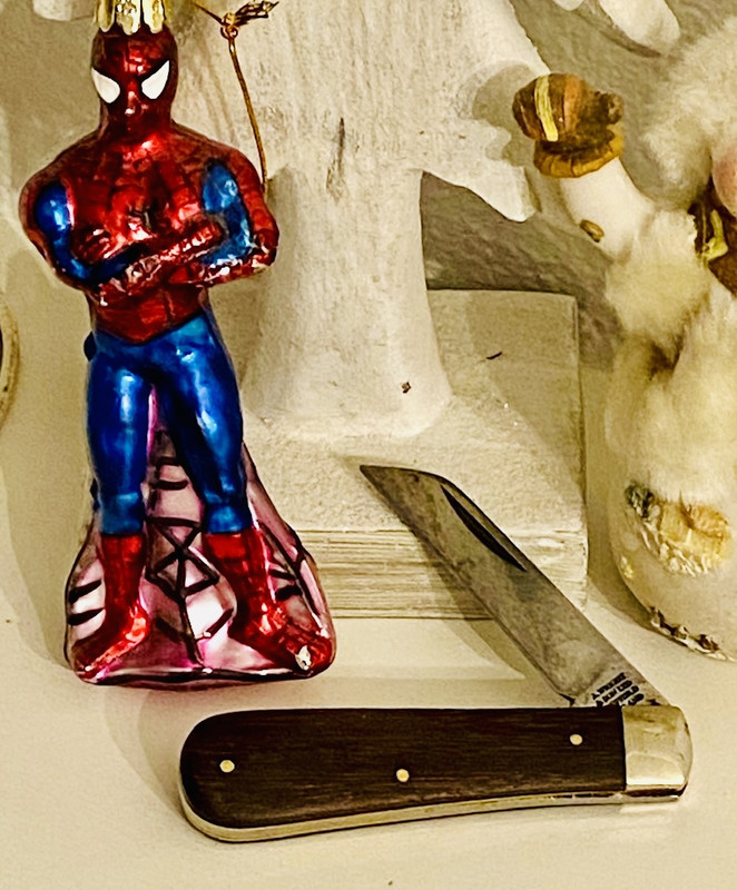 55280F5A-7FD9-401A-9464-21BB4DAF3236_1_201_a