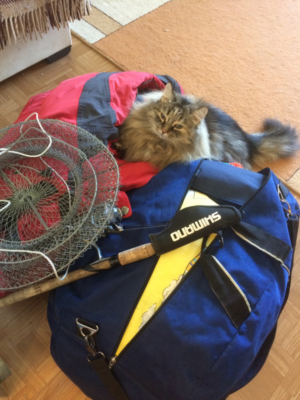 A116CCDA-F85E-4CCB-A68A-EF837BA103E6