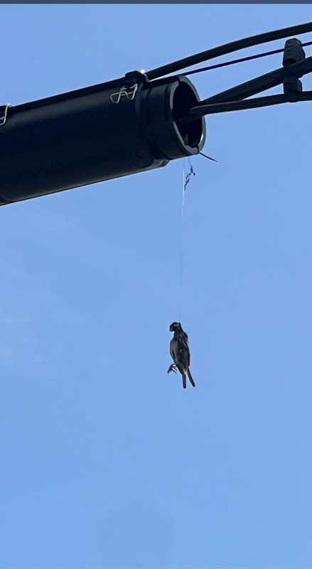 E499306F-B2BC-4410-85FB-C6544888CC35