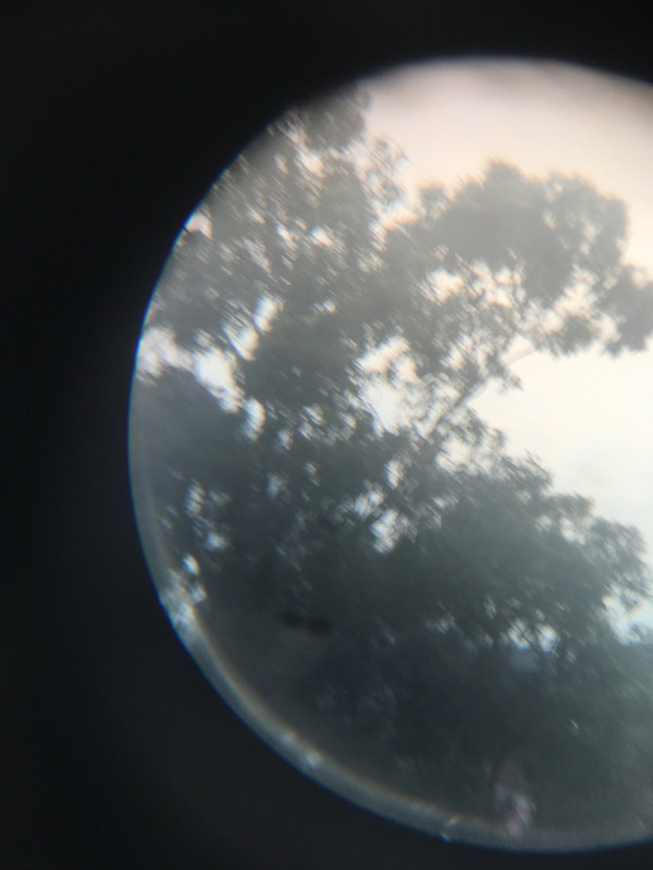 44B2461F-39FB-458C-AD95-F5E7270330A0