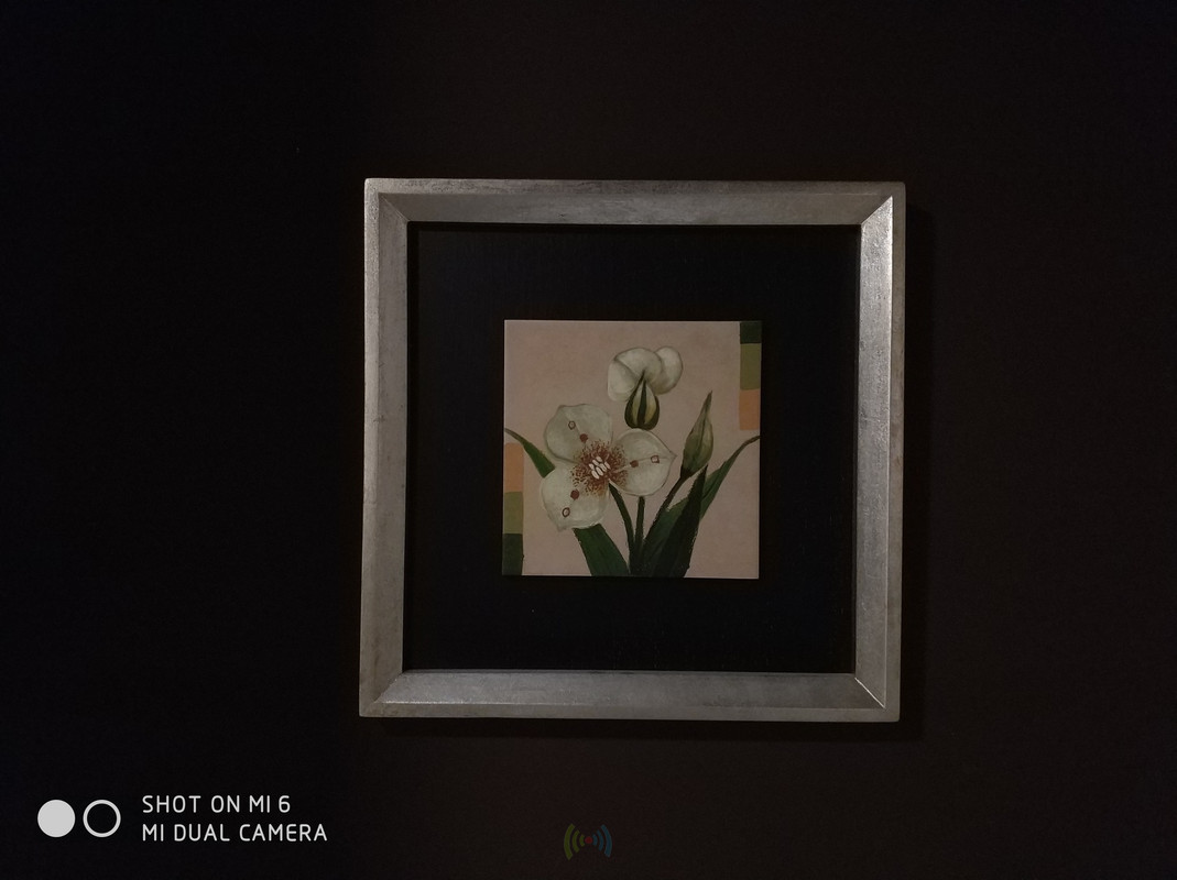 Xiaomi Mi6 - Hasil kamera indoor 2