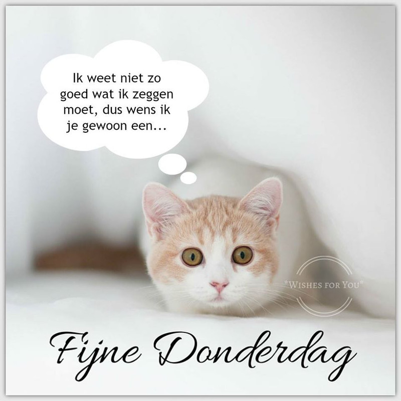 An den Beitrag angehängtes Bild: https://i.postimg.cc/tRmKDmwh/12493385-989485224442271-3407038747561693970-o.jpg