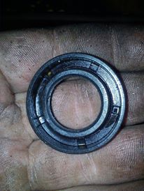 12312150_1483357631973642_260718902_n