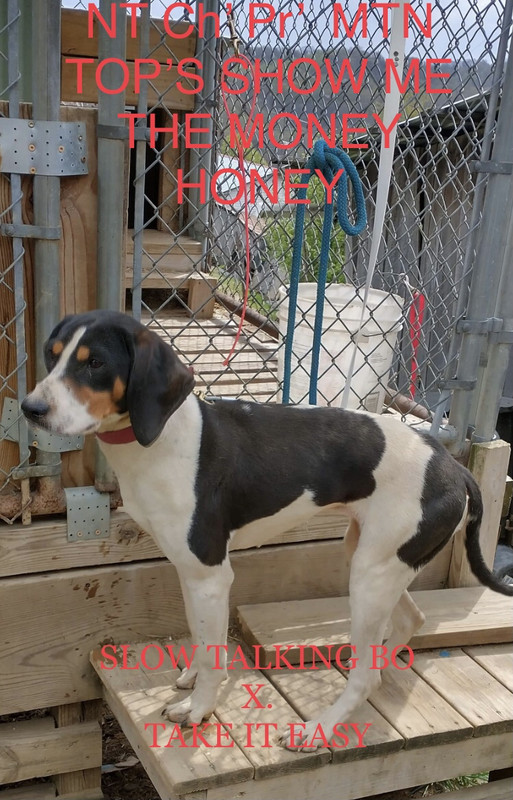 862A0E79-39D8-4FA4-9922-611EF78ECA87