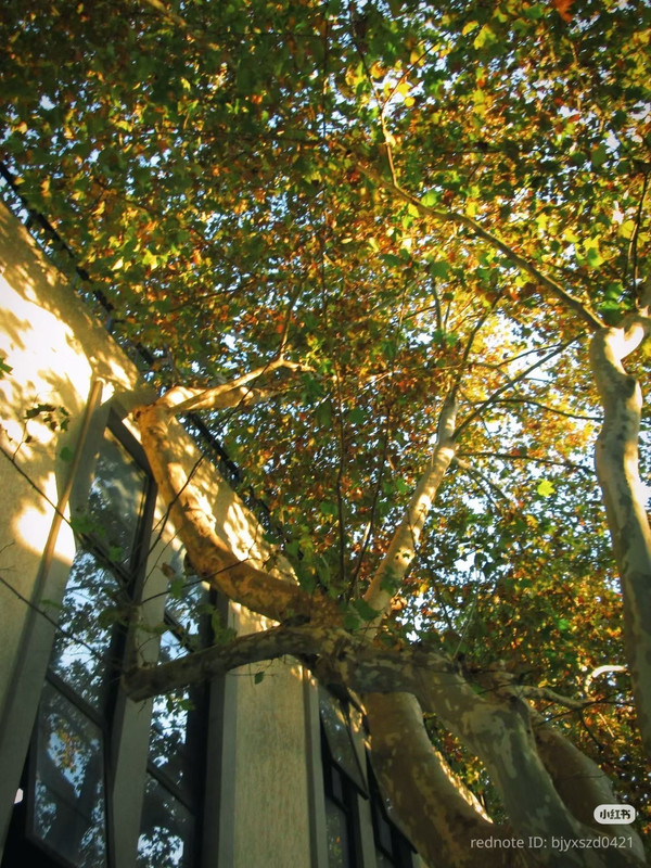 photo 14 2025 12 27 21 11 06