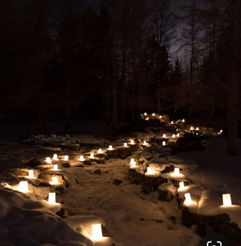 Screenshot_20231123_205801_Pinterest