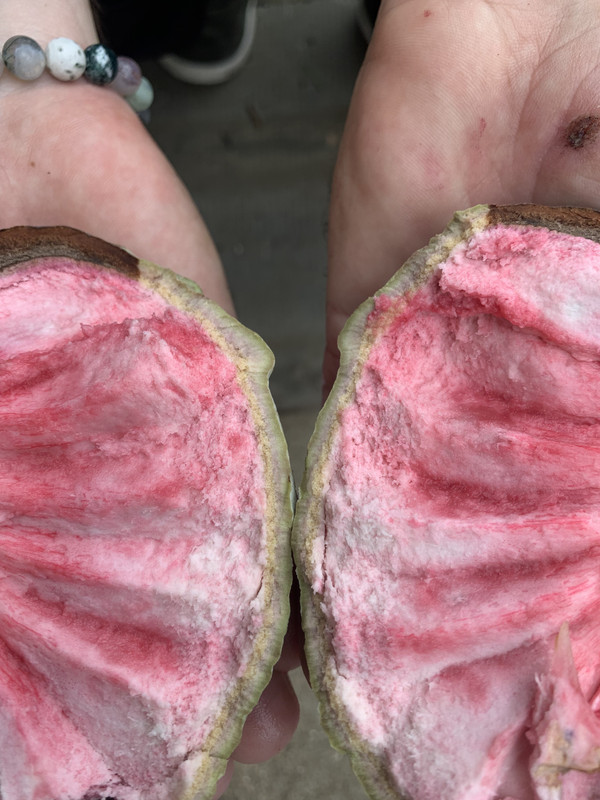 7AFE1066-E28E-4D79-B8B1-1C5F5634843B