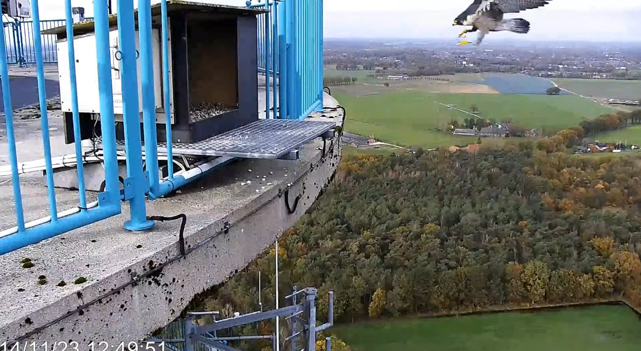 screenshots va 2 november 2023 © VWGGemert - Pagina 4 2023-11-14-125630