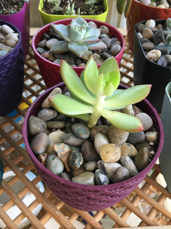 7808C438-71DD-4058-B1BF-7DAB444D0C16