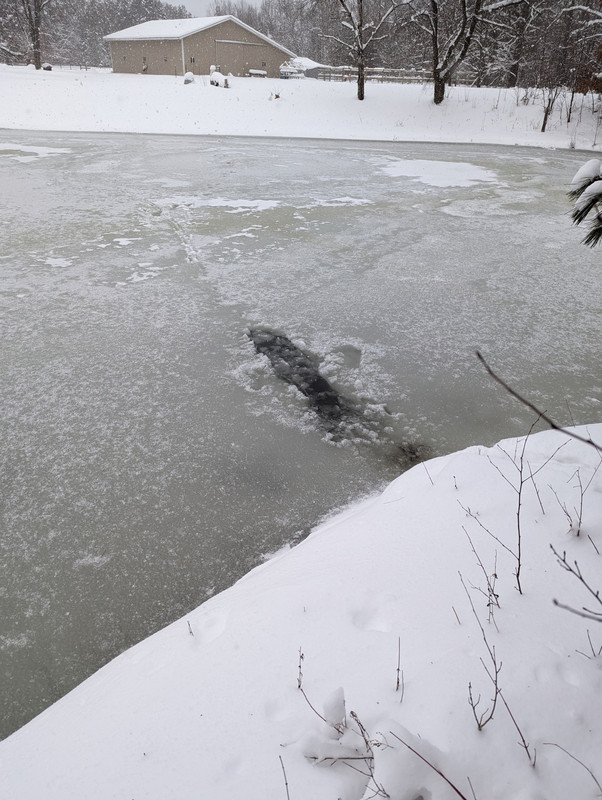 PXL_20240113_210935651