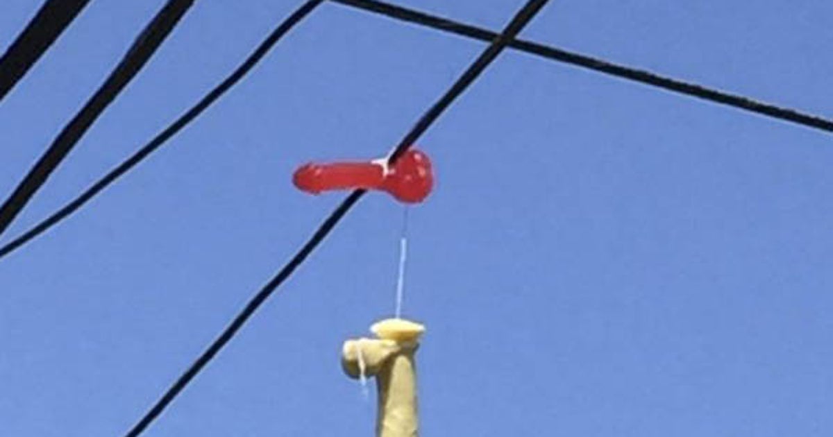 AN75308525-A-pair-of-sex-toy.jpg