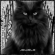 HauntedHalloweenAV_Jewels