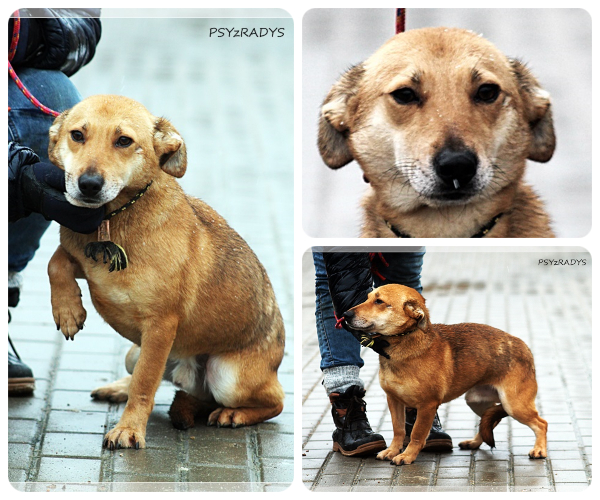 BeFunky-collage (17)