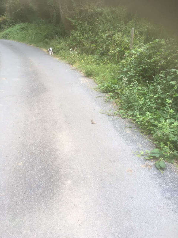 C59F9D80-CBE2-4CA5-BCD3-99D866344F8A