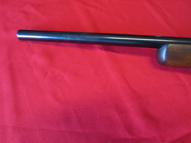 Waff-ank-Clearwater-070