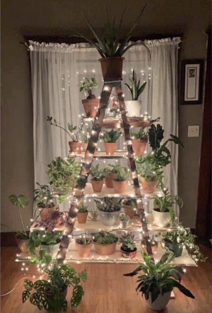 [Image: 688-C227-E-D0-AF-4-DEA-B4-CE-E990169-CC2-FF.jpg]