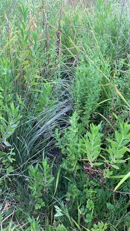 81CE0E4C-CE19-4CF8-B53B-AF033960E5C5