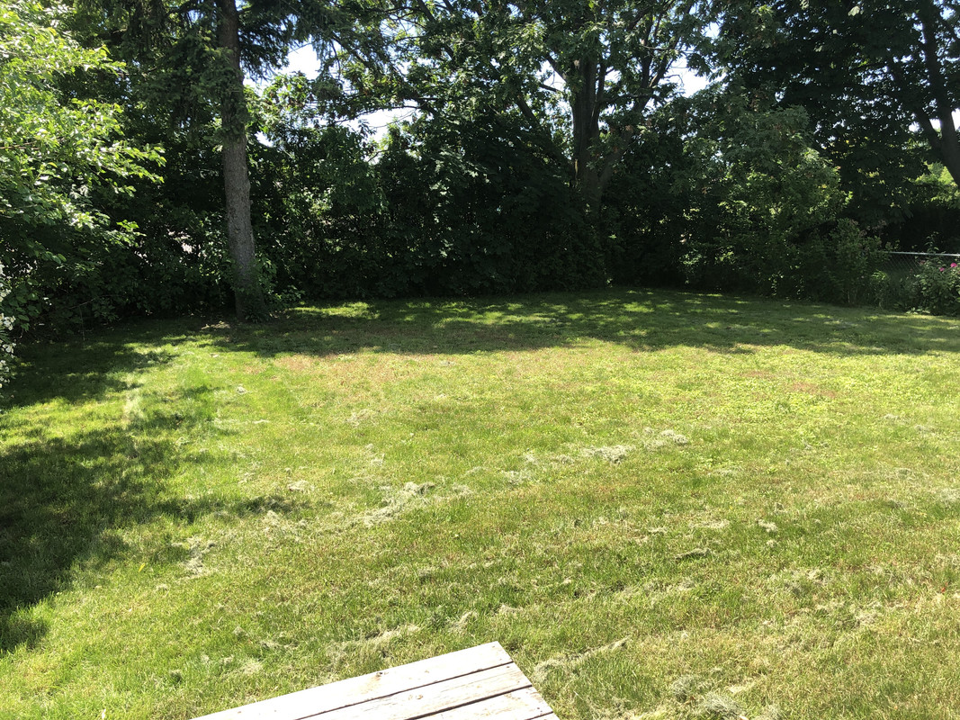 IMG 0589 — Postimages