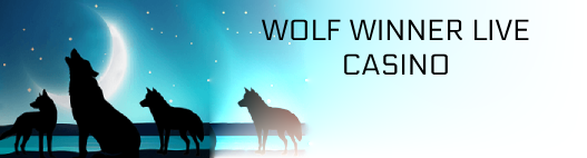 wolf winner live casino