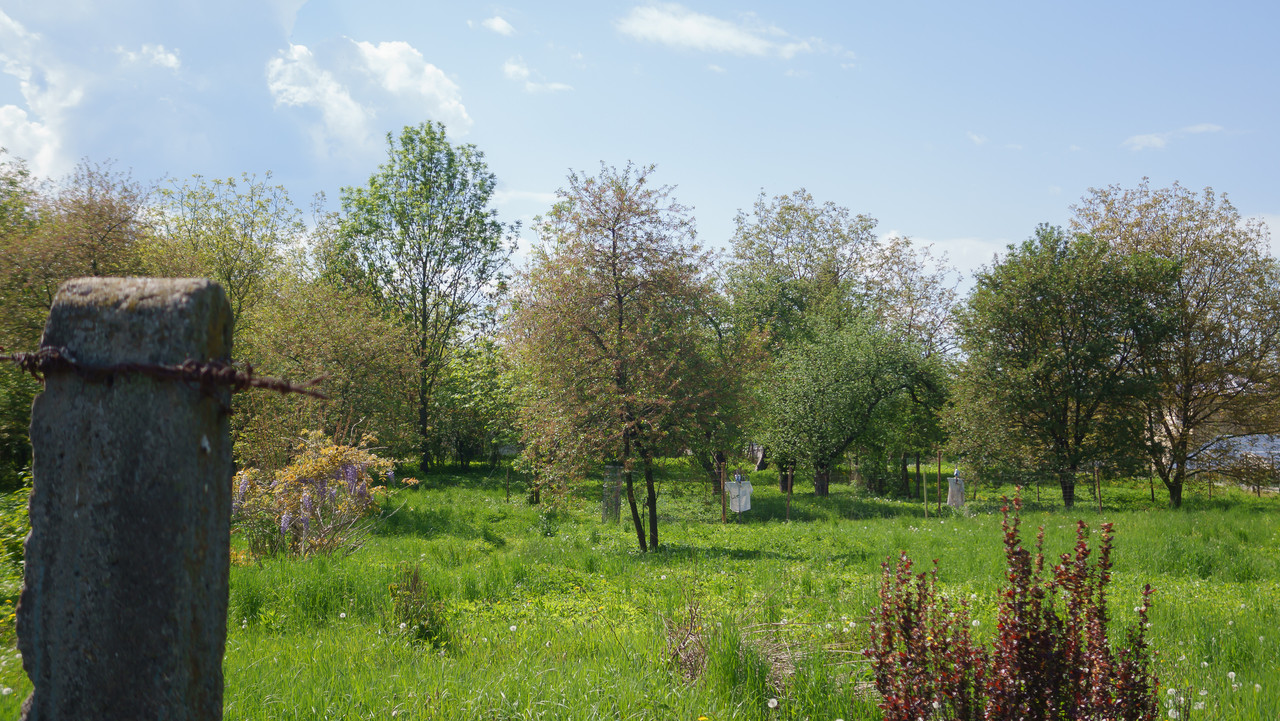 DSC04432.jpg