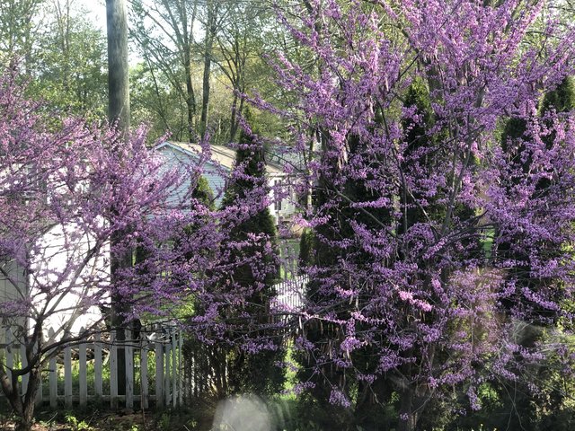 [Image: IMG-6032.jpg]