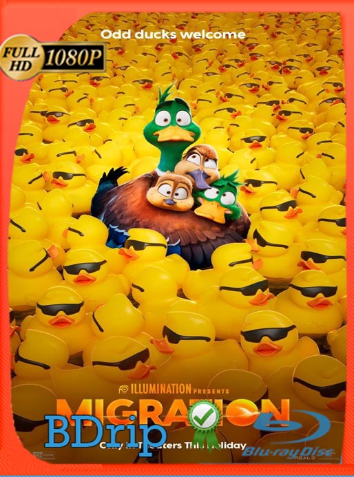 ¡Patos! (2023) BDRIP HD 1080p Latino [GoogleDrive]