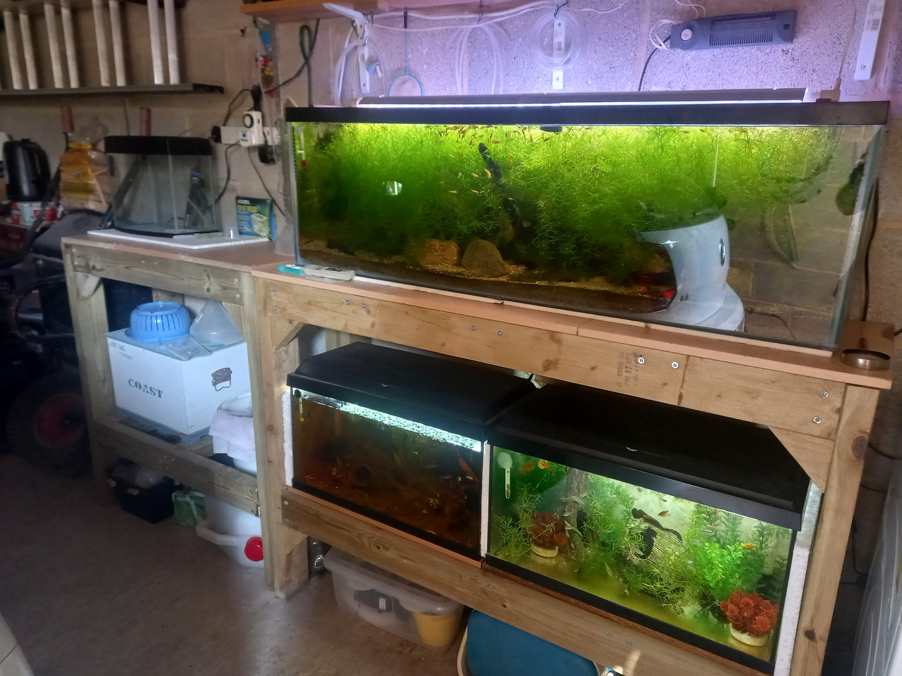 Garage aquariums - New racking 1