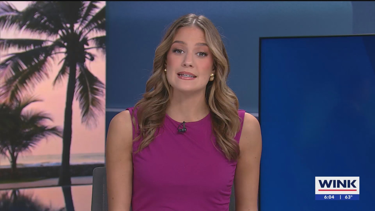 WINK NEWS at 600am Saturday_20250208_11001200.ts_snapshot_00.05.37.262