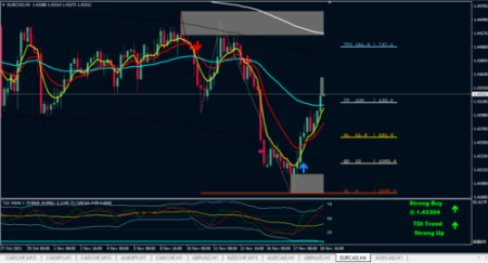 I will teach you best trading setup and be profitable | EA