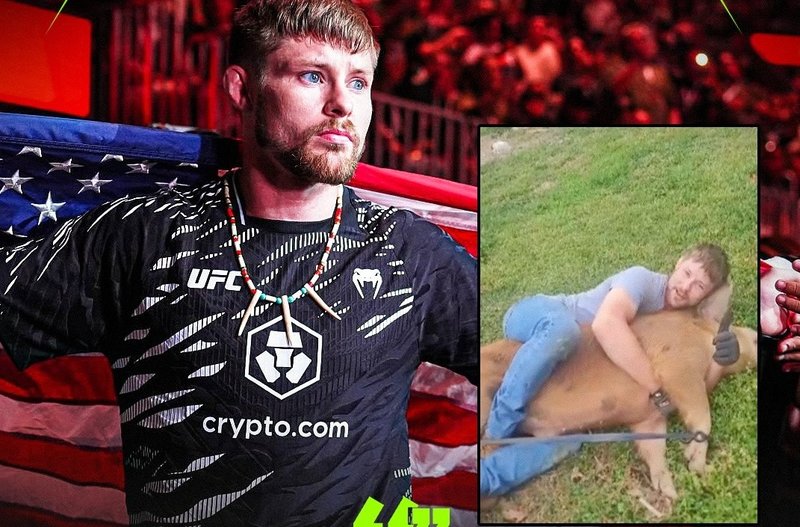 Брайс Мичъл се бори с прасе