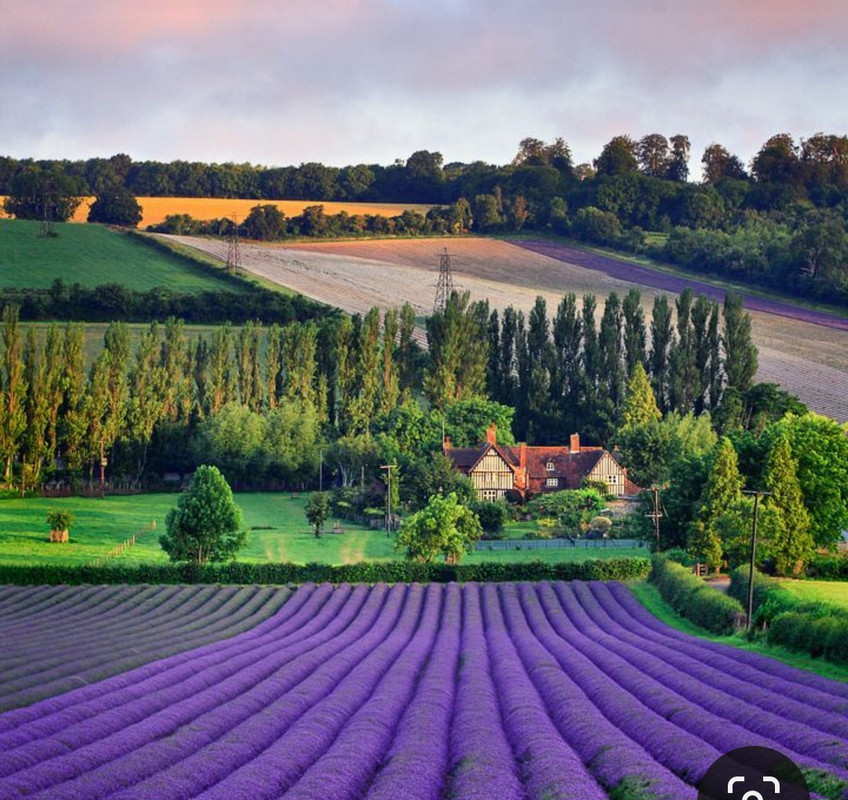 Screenshot_20231020_210712_Pinterest