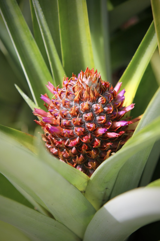 A9B18D3D-A51A-45B3-A65C-09BE24C4E700_1_201_a