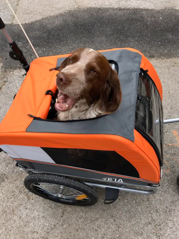 EB5811D5-BBEE-4848-B9AB-377D71D1E08D