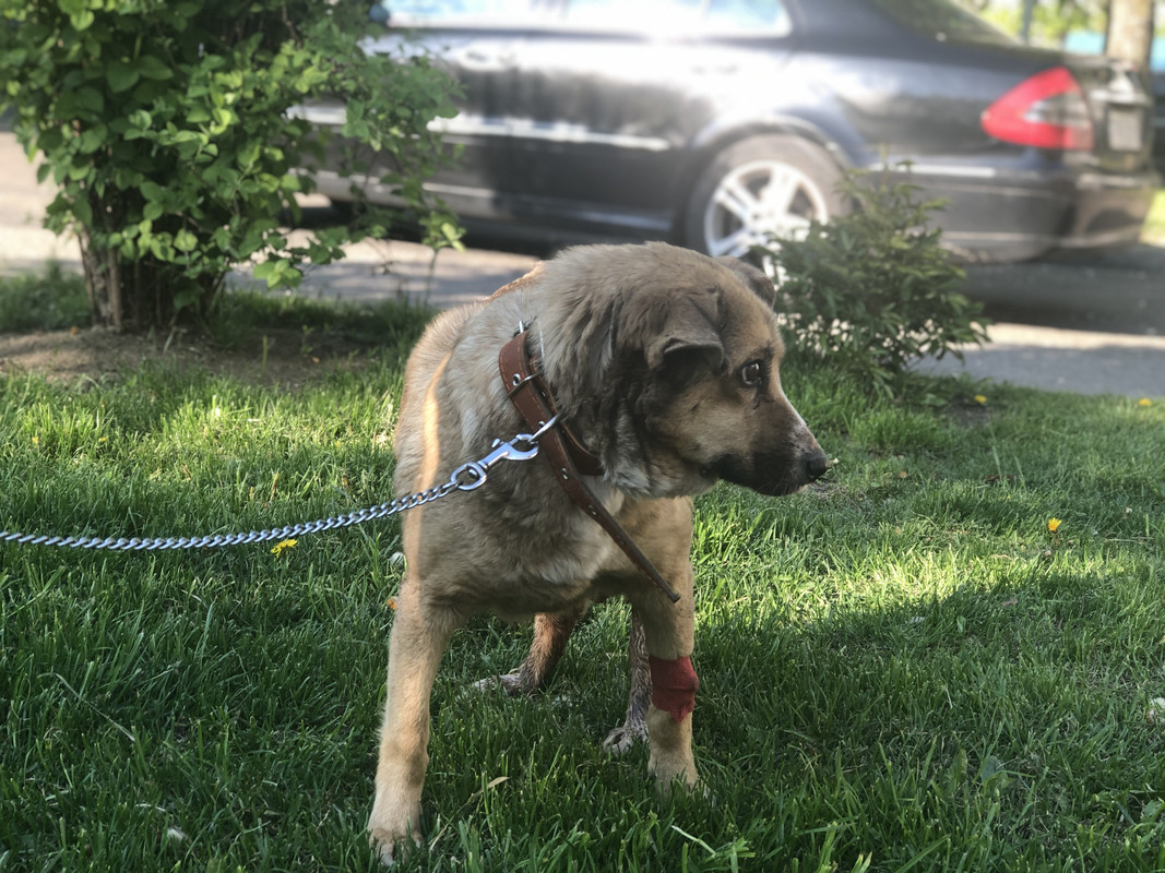 22947730-815F-4833-80BD-09AEF315B0E0