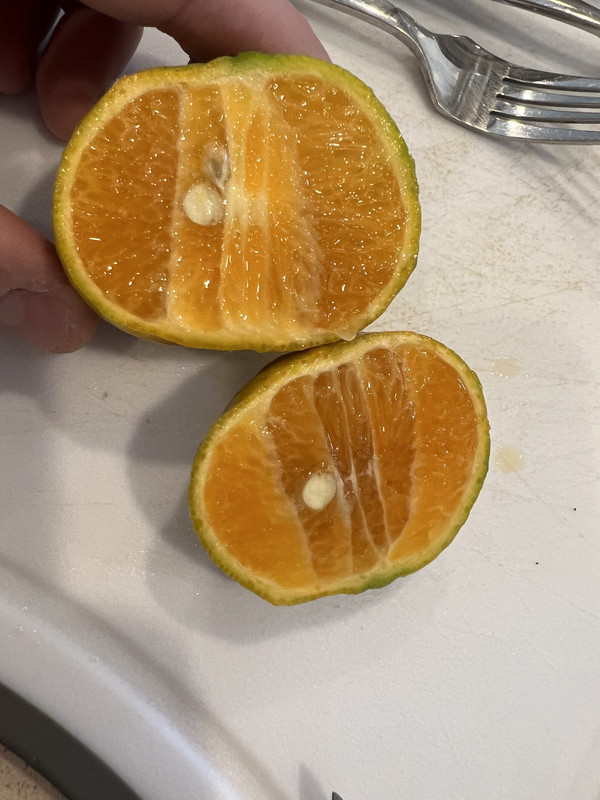 4AF56AEF-4805-4CB3-B4DE-73F5A6A727B5