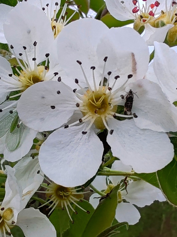 IMG 20260413 190609bb