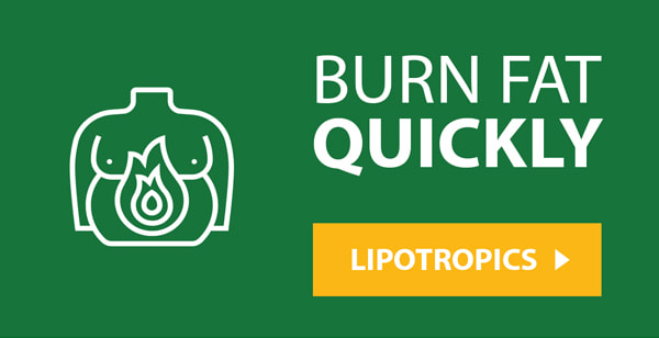 lipotronics